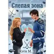Постер книги Слепая Зона