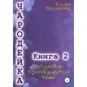 Постер книги Чародейка 2: Хозяйка тринадцатой тьмы