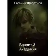 Постер книги Бандит-3. Академия