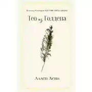 Постер книги Тео из Голдена
