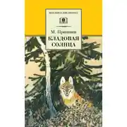 Постер книги Кладовая солнца (сборник)