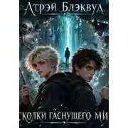 Постер книги Осколки гаснущего мира
