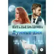 Постер книги Лунные дни