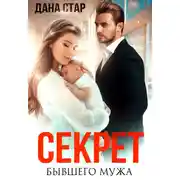 Постер книги Секрет бывшего мужа