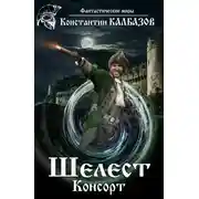 Постер книги Шелест. Консорт