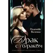 Постер книги (Б)рак с (б)раком