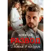 Постер книги Развод. Двойня в подарок