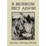 Постер книги В Великом лесу Апачи