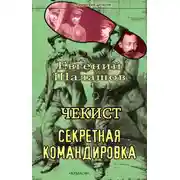 Постер книги Чекист. Секретная командировка
