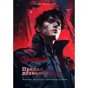 Постер книги Предел дозволенного