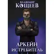 Постер книги Истребитель
