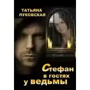Постер книги Стефан в гостях у ведьмы