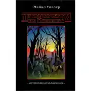 Постер книги Приключения на Изнанке. Исчезновение волшебника