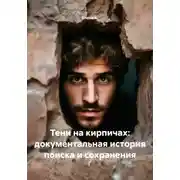 Постер книги Тени на кирпичах