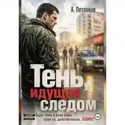 Постер книги Тень, идущая следом