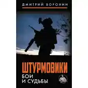 Постер книги Штурмовики. Бои и судьбы