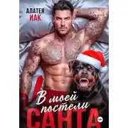 Постер книги Санта в моей постели