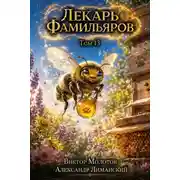 Постер книги Лекарь Фамильяров. Том 13