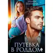 Постер книги Путевка в роддом