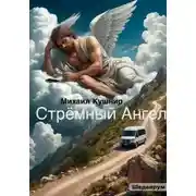 Постер книги Стрёмный Ангел