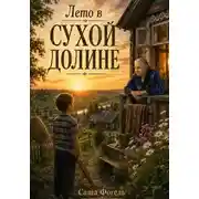 Постер книги Лето в Сухой Долине