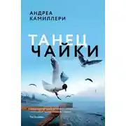 Постер книги Танец чайки