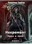 Владимир Тарасов - Один в поле не воин