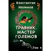 Постер книги Мастер големов