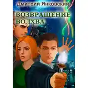 Постер книги Возвращение волхва: Против тысячи втроем