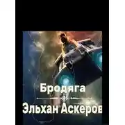 Постер книги Бродяга