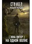 Андрей Нуждин - Зона Питер. На одной волне