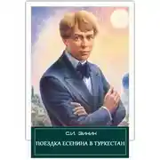 Постер книги Поездка Есенина в Туркестан