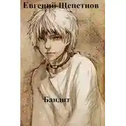 Постер книги Бандит