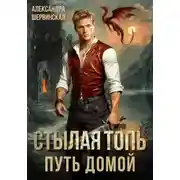 Постер книги Стылая Топь. Путь домой