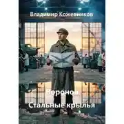 Постер книги Воронов. Стальные крылья