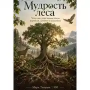 Постер книги Мудрость леса: Чему нас учит взаимосвязь деревьев, грибов и животных