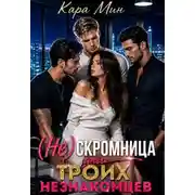 Постер книги (не)скромница для троих незнакомцев