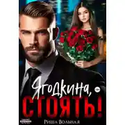 Постер книги Ягодкина, стоять!