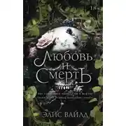 Постер книги Любовь и смерть