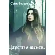 Постер книги Теневой факультет. Книга 2