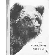 Постер книги Здравствуй, мишка!