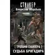 Постер книги Судьба Бригадира