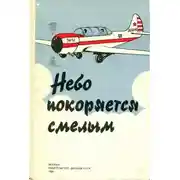 Постер книги Небо покоряется смелым
