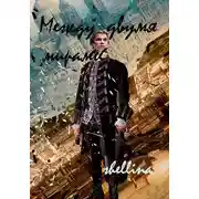 Постер книги Между двумя мирами