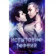 Постер книги Испытание Терний