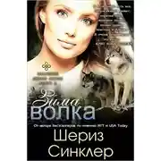 Постер книги Зима волка