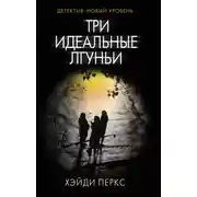 Постер книги Три идеальные лгуньи