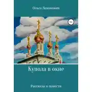 Постер книги Купола в окне