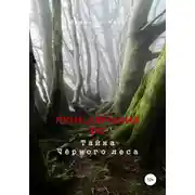 Постер книги Приключения ДД. Тайна Чёрного леса