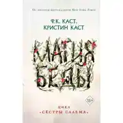 Постер книги Магия беды